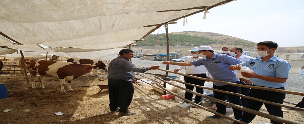 HALİLİYE ‘TEDBİRLİ’ KURBAN BAYRAMI’NA HAZIR